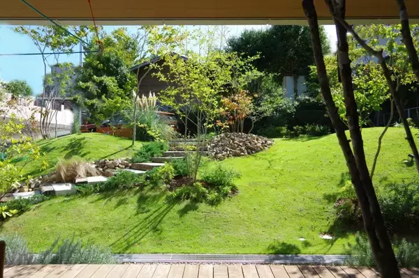 美しい丘のある庭