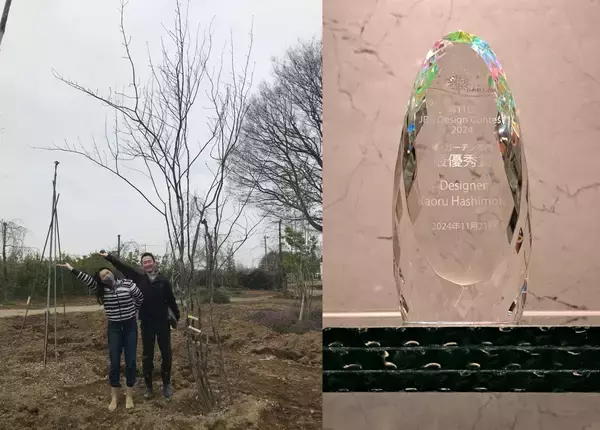 「美しい丘のある庭」の画像