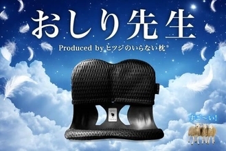 優れた体圧分散・フィット感で先生のような姿勢に！？『ヒツジのいらない枕®』から姿勢サポートチェア『おしり先生 Produced by ヒツジのいらない枕®』を新発売