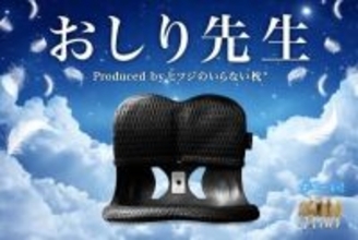 優れた体圧分散・フィット感で先生のような姿勢に！？『ヒツジのいらない枕®』から姿勢サポートチェア『おしり先生 Produced by ヒツジのいらない枕®』を新発売