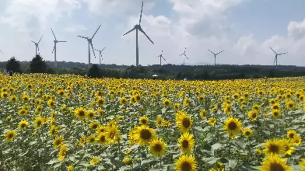 「遠隔地をリアルに体感！没入型遠隔観光体験の実証実験を行います」の画像