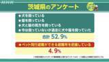 「1月は防災月間！茨城県庁で「獣医師によるペット防災セミナー」を開催します！」の画像1
