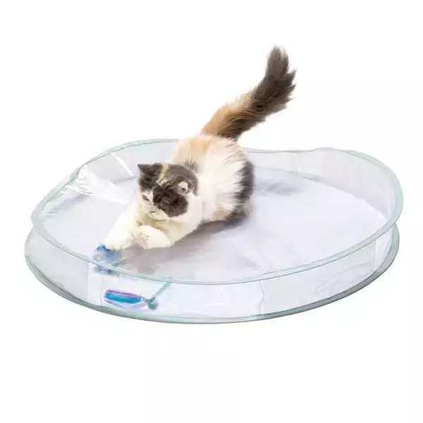 「肉球フェチのみなさまに朗報♪透明デザインでうちの子の可愛さをもっと見れる！撮れる！猫用おもちゃ「クリアシリーズ」11月4日新発売」の画像