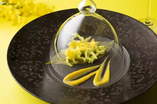 「【富士マリオットホテル山中湖】国際女性デーを祝う「ミモザカラー」の春ディナーコース「Terroir Yamanashi ～Mimosa Yellow Spring～」を発売」の画像