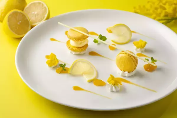 「【富士マリオットホテル山中湖】国際女性デーを祝う「ミモザカラー」の春ディナーコース「Terroir Yamanashi ～Mimosa Yellow Spring～」を発売」の画像