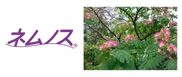 PMSに伴う睡眠課題への新アプローチ「ネムノス®」の実証実験開始 ～体内時計調節で睡眠の質向上を目指す～