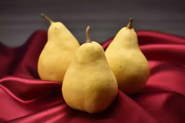 ～ 冬もやっぱり「えだまめ県、新潟。」～新潟県産冷凍茶豆を首都圏の高級スーパーマーケットで試験販売します