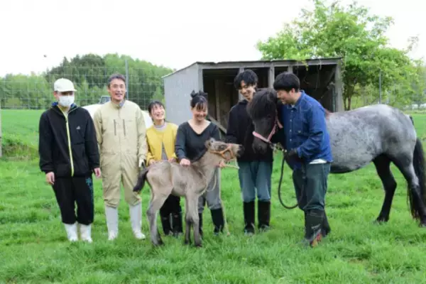 「【東京農業大学（共同研究）】北海道和種馬の種の保存に向けた画期的な成果 – 30 年間保存した凍結受精卵から子馬が誕生」の画像