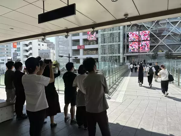 「【玉川高島屋S.C.】夏のイベント情報 第二弾 人気昆虫系YouTuber「むし岡だいき」氏のトークショーやカブトムシの標本づくりワークショップも開催！「たまがわ昆虫展2026」詳細コンテンツを公開」の画像