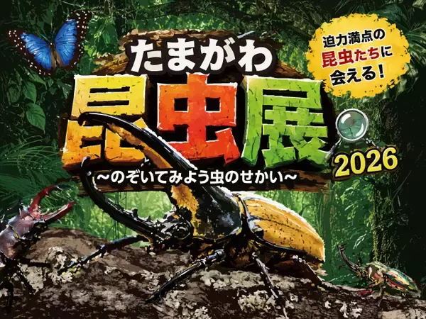 「【玉川高島屋S.C.】夏のイベント情報 第二弾 人気昆虫系YouTuber「むし岡だいき」氏のトークショーやカブトムシの標本づくりワークショップも開催！「たまがわ昆虫展2026」詳細コンテンツを公開」の画像