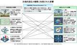 「イビチャ・オシム氏の「あえて負荷をかける」指導法：計画的混乱が選手を育てる！？単なる厳しさではない、科学的視点から見た「適応力」を引き出す負荷の与え方」の画像1