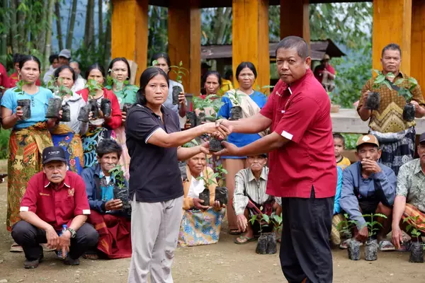 「【数量限定】インドネシアのスペシャルティコーヒー「トアルコ トラジャ」から「KEY COFFEE AWARD」で表彰された『ボロン』エリアの限定品が登場」の画像