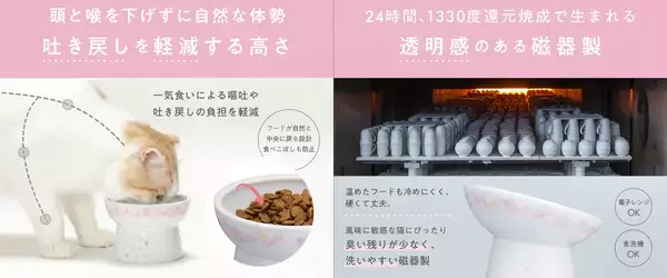 「毎年楽しめる春限定 猫壱の脚付食器「ハッピーダイニング」シリーズ 今年のさくら柄デザインを発表2026年2月1日より発売開始」の画像