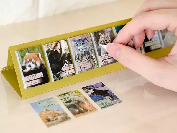 「成城大学　社会イノベーション学部創設20周年記念特別企画　第2弾！！」の画像