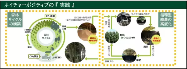 「那須千本松牧場でネイチャーポジティブ関連事業を始動」の画像