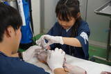 「開園45周年企画『あなたの夢叶えます！』実施報告 8歳の「未来の獣医師」が夢の第一歩本物の医療機器で注射・エコーを特別体験！」の画像1