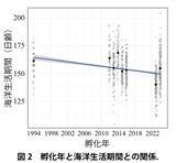 「温暖化によるアユ生態の南方化 ～ 海水温の上昇が海洋生活を短縮、長良川の長期データで解明【長野大学・岐阜大学・岐阜県】」の画像2