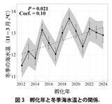 「温暖化によるアユ生態の南方化 ～ 海水温の上昇が海洋生活を短縮、長良川の長期データで解明【長野大学・岐阜大学・岐阜県】」の画像3