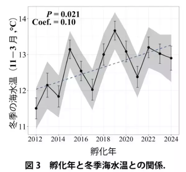 「温暖化によるアユ生態の南方化 ～ 海水温の上昇が海洋生活を短縮、長良川の長期データで解明【長野大学・岐阜大学・岐阜県】」の画像