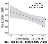 「温暖化によるアユ生態の南方化 ～ 海水温の上昇が海洋生活を短縮、長良川の長期データで解明【長野大学・岐阜大学・岐阜県】」の画像4