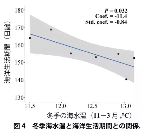 「温暖化によるアユ生態の南方化 ～ 海水温の上昇が海洋生活を短縮、長良川の長期データで解明【長野大学・岐阜大学・岐阜県】」の画像