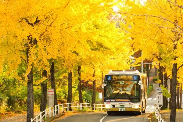 「「京王線・井の頭線沿線風景２０２５-２０２６フォトコンテスト」入賞作品を発表！」の画像