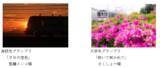 「「京王線・井の頭線沿線風景２０２５-２０２６フォトコンテスト」入賞作品を発表！」の画像8