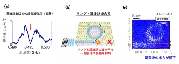 「世界で初めてトポロジーの原理を利用したギガヘルツ超音波回路を実現～無線通信用高周波フィルタの小型・高性能化に向けた要素技術を実現～」の画像