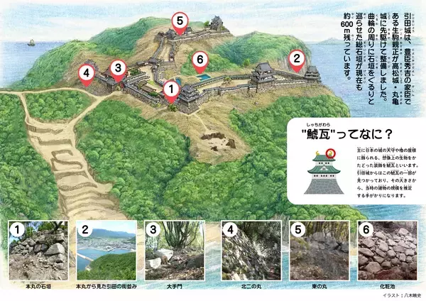 「羽柴秀吉、長宗我部元親……引田城を巡る戦国時代の歴史や見どころを漫画形式の資料に」の画像