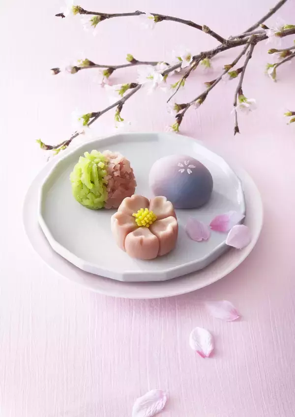 「【玉川高島屋S.C.】春の新店・イベント情報／春の訪れを祝う「百華祭」を3月18日（水）より開催」の画像