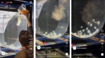 【京都水族館】クラゲがごはんを求めてまっしぐら！？公式Instagram動画が1億回再生を突破！！