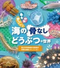 【京都水族館】国立科学博物館巡回展が京都水族館へやってくる「キモかわすごい！海の骨なしどうぶつの世界」開催