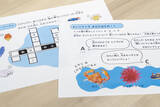 「【京都水族館】国立科学博物館巡回展が京都水族館へやってくる「キモかわすごい！海の骨なしどうぶつの世界」開催」の画像5