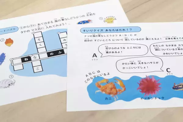 「【京都水族館】国立科学博物館巡回展が京都水族館へやってくる「キモかわすごい！海の骨なしどうぶつの世界」開催」の画像