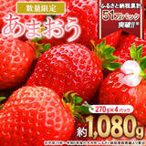「あなたはどっち派！？ふるさと納税で“生活応援” or “プチ贅沢”「物価高時代のさとふるマルシェ」を開催」の画像6