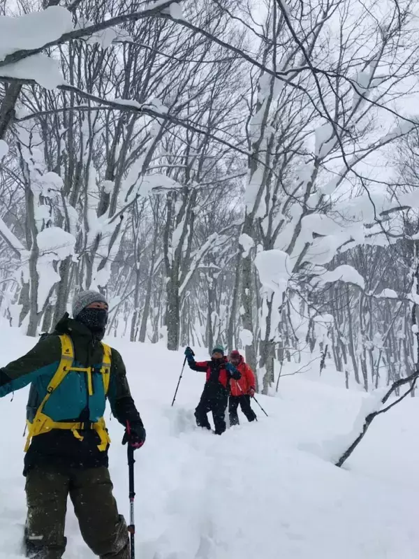 「青森大学が八甲田山中の新湯エリアを舞台にした観光ツアー「八甲田新湯スノーシュープライベートツアー」を開発、学生がガイドを担当 ― 雄大な自然の中でブナに囲まれた温泉やスノーシューを楽しむ」の画像