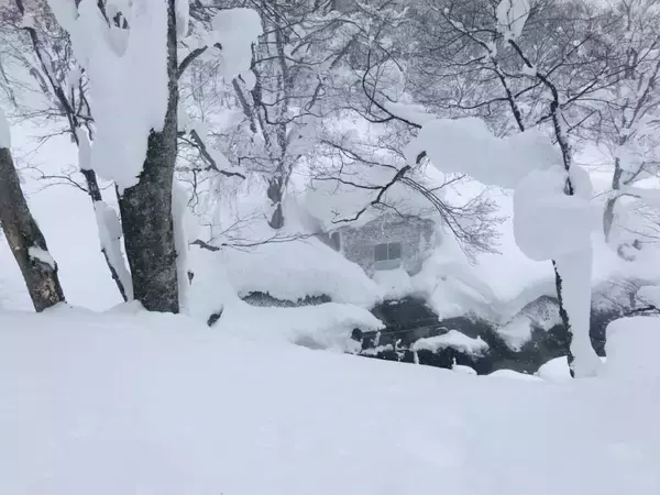 「青森大学が八甲田山中の新湯エリアを舞台にした観光ツアー「八甲田新湯スノーシュープライベートツアー」を開発、学生がガイドを担当 ― 雄大な自然の中でブナに囲まれた温泉やスノーシューを楽しむ」の画像