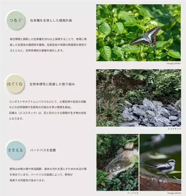 「【大京／大京アステージ】マンション緑化の効果を検証する共同研究を開始」の画像