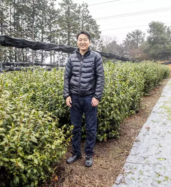 「【キル フェ ボン】＜京都店限定企画＞ 「Kyoto limited！〜with matcha〜」四季折々、抹茶の美味しさに出会える1年」の画像