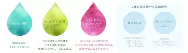 「より肌にやさしく、美しさつづく。人気のBBクリームがリニューアル。『ミネラルエッセンスBBクリームN』」の画像