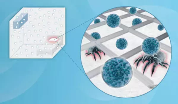 ‟梅雨に睡眠を妨げる”一因である繊維中のダニアレルゲンを抑制　～ナノイー（帯電微粒子水）技術による睡眠環境改善への貢献が期待～