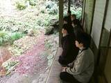 「鴨川"最初の一滴"から地域文化を学ぶ特別ガイド志明院で「鴨川の源流をめぐる」を開催鴨川源流を表現した学生制作のオリジナル御朱印を授与」の画像2