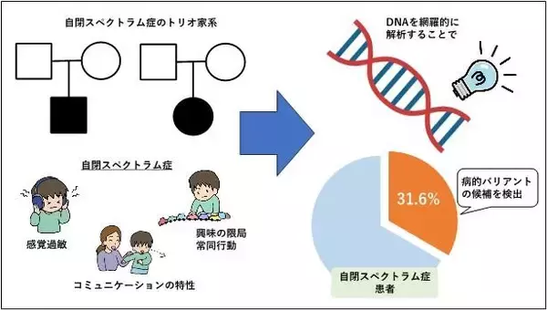 「【名古屋大学】日本人の自閉スペクトラム症患者の遺伝的背景を探索　～国内初の全ゲノム解析結果を活用し、病態ベースの診断へ～」の画像