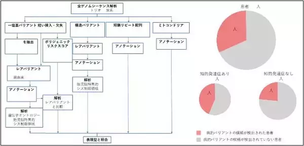 「【名古屋大学】日本人の自閉スペクトラム症患者の遺伝的背景を探索　～国内初の全ゲノム解析結果を活用し、病態ベースの診断へ～」の画像