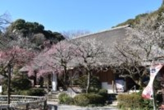 訪日外国人向けデジタルチケットに京王線・井の頭線一日乗車券と京王百草園入園券を追加し２月１８日（水）から順次発売を開始します！