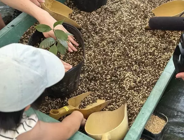 「「KIRISHIMA GREENSHIP icoia 」2026年1月27日(火)オープン！」の画像