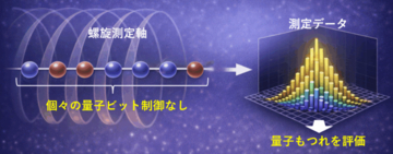 【日本大学】量子のもつれを“螺旋（らせん）”で読む– 個別制御に頼らない量子状態解析法を開発 –