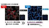 「トラック・バス用スタッドレスタイヤ「NANOENERGY M976」を発売」の画像2