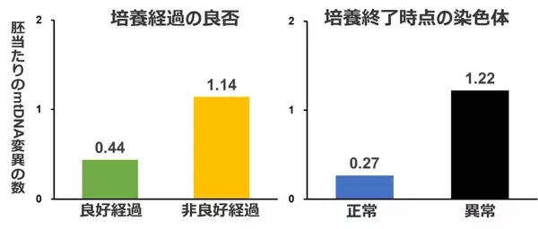 胚発生とミトコンドリアDNA変異の新たな関係性を発見