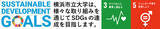「胚発生とミトコンドリアDNA変異の新たな関係性を発見」の画像4